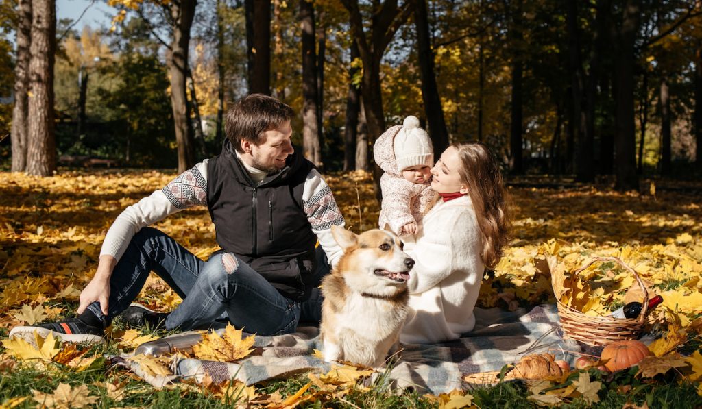 family with corgi