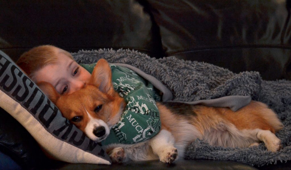 hugging corgi