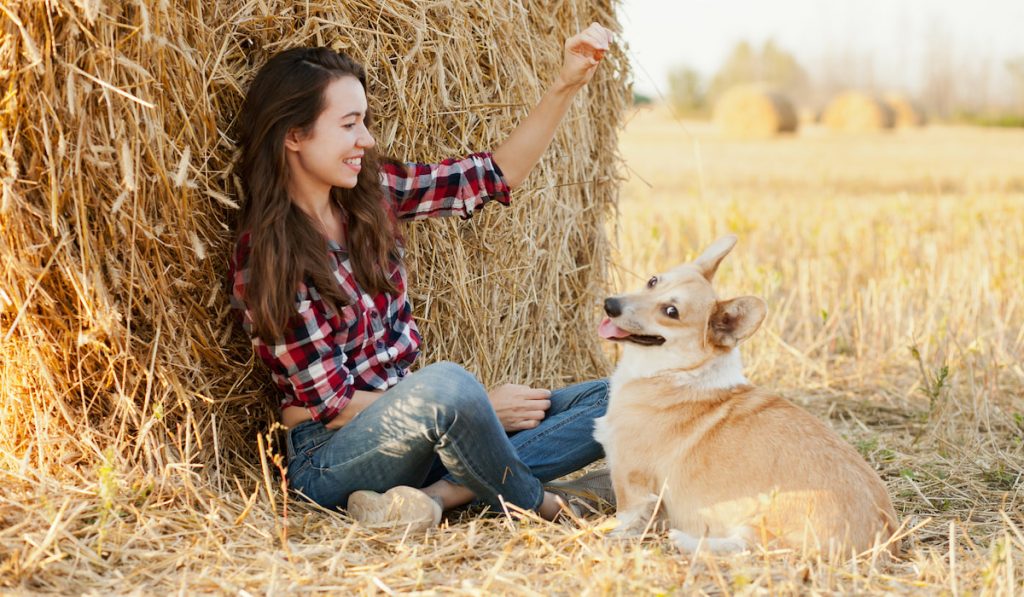 pretty girl playing with her corgi