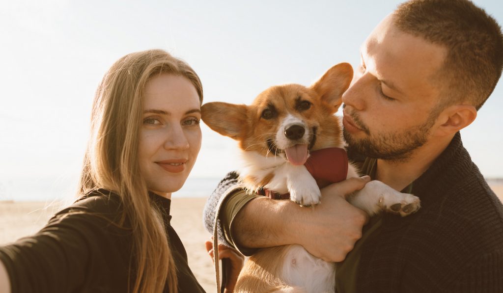 young couple with a friendly corgi