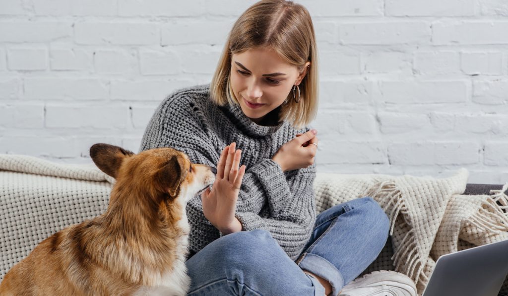 attractive girl ignoring corgi